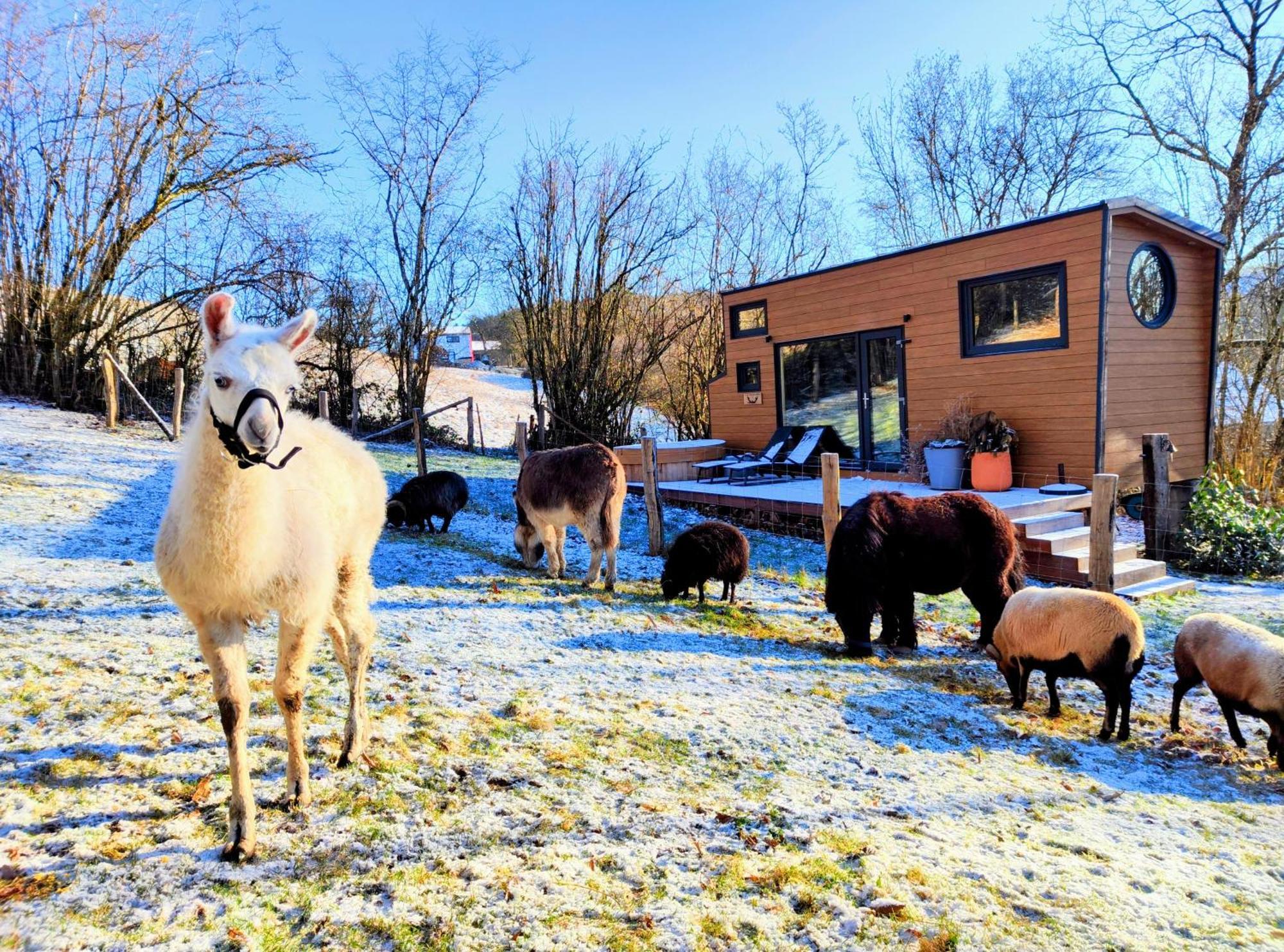 La Mini Maison Du Lama Libin Екстер'єр фото